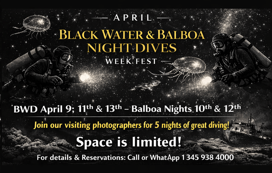5 Nights BWD & Balboa FB.png