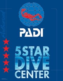 5 Star PADI_opt.jpg