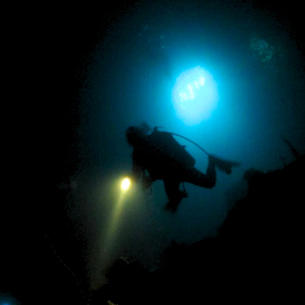 Night Diving 1