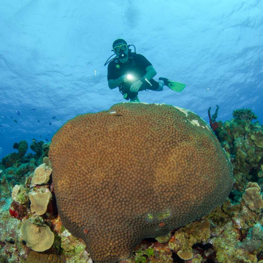 Shore Diving