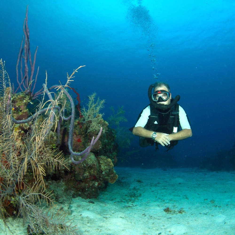 Shore Diving 2